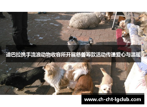 迪巴拉携手流浪动物收容所开展慈善筹款活动传递爱心与温暖 迪巴拉携手流浪动物收容所开展慈善筹款活动传递爱心与温暖